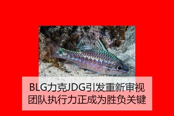 li-ke-yin-fa-chong-xin-shen-shi-tuan-dui-zhi-xing-li-zheng-cheng-wei-sheng-fu-guan-jian-2-487.jpg